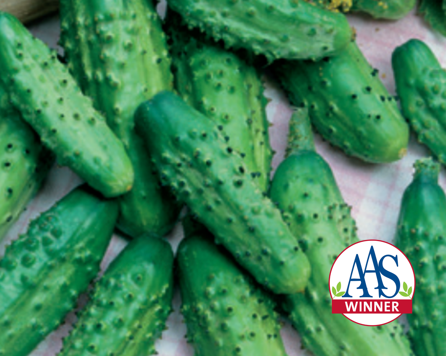 Parisian Hybrid Cucumber Seeds - Blessings Grow Meadows