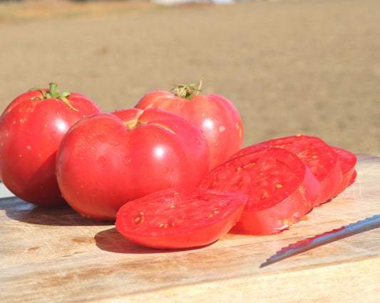 Pink Girl Hybrid Tomato Seeds - Blessings Grow Meadows