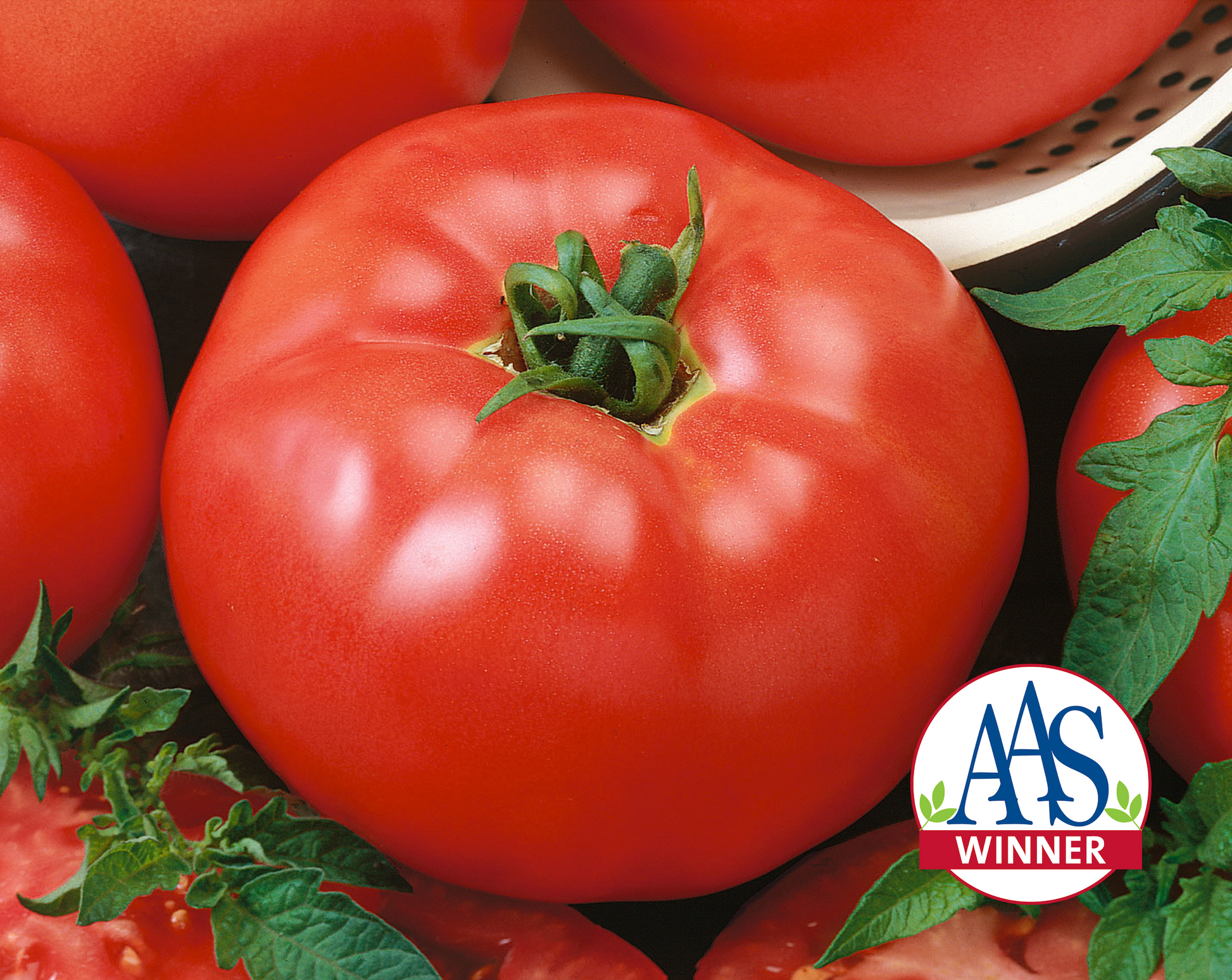 Red Brandymaster Hybrid Tomato Seeds packet from Seeds 'n Such with 25-30 seeds for gardening or planting.