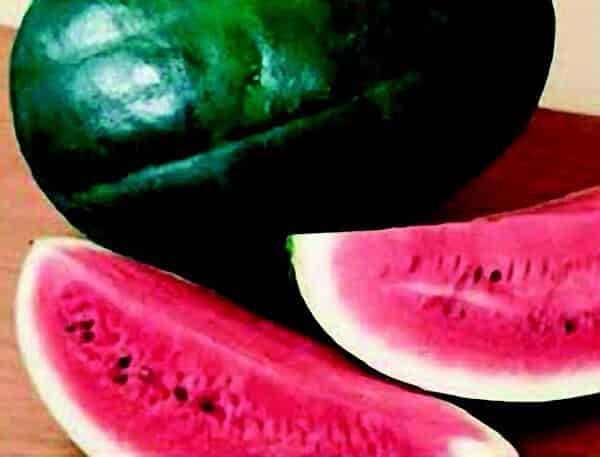Black Diamond Watermelon Seeds - Blessings Grow Meadows