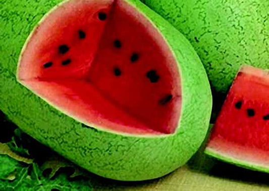 Charleston Grey Watermelon Seeds - Blessings Grow Meadows