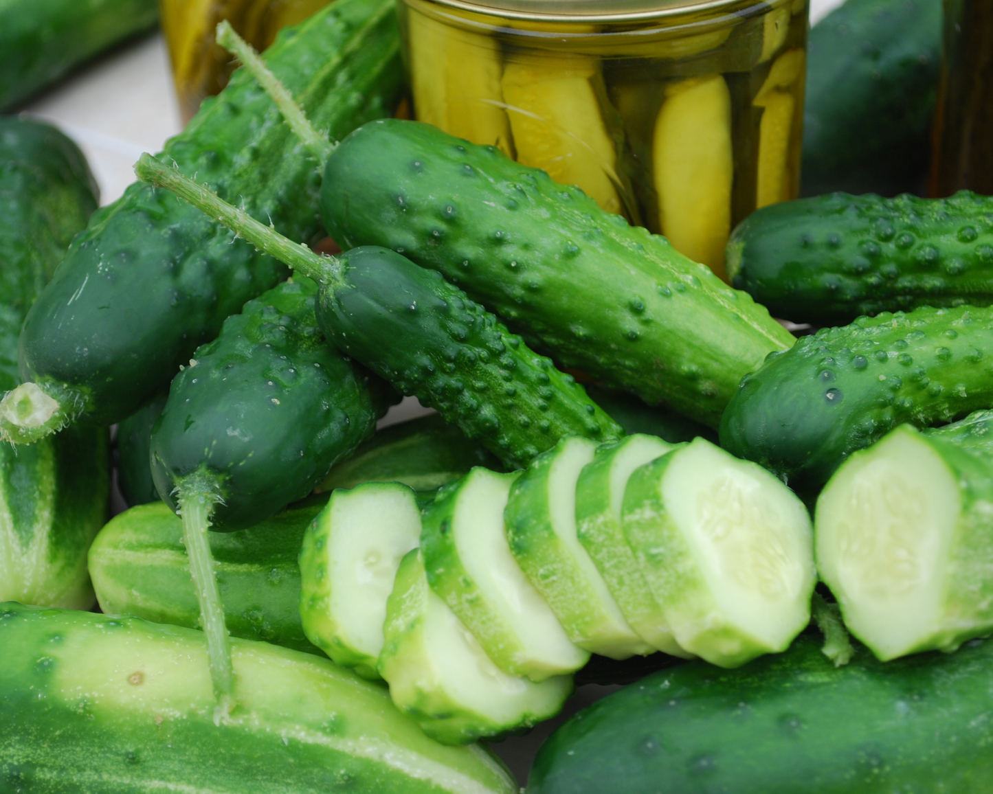 Early Fortune Cucumber Seeds - Blessings Grow Meadows