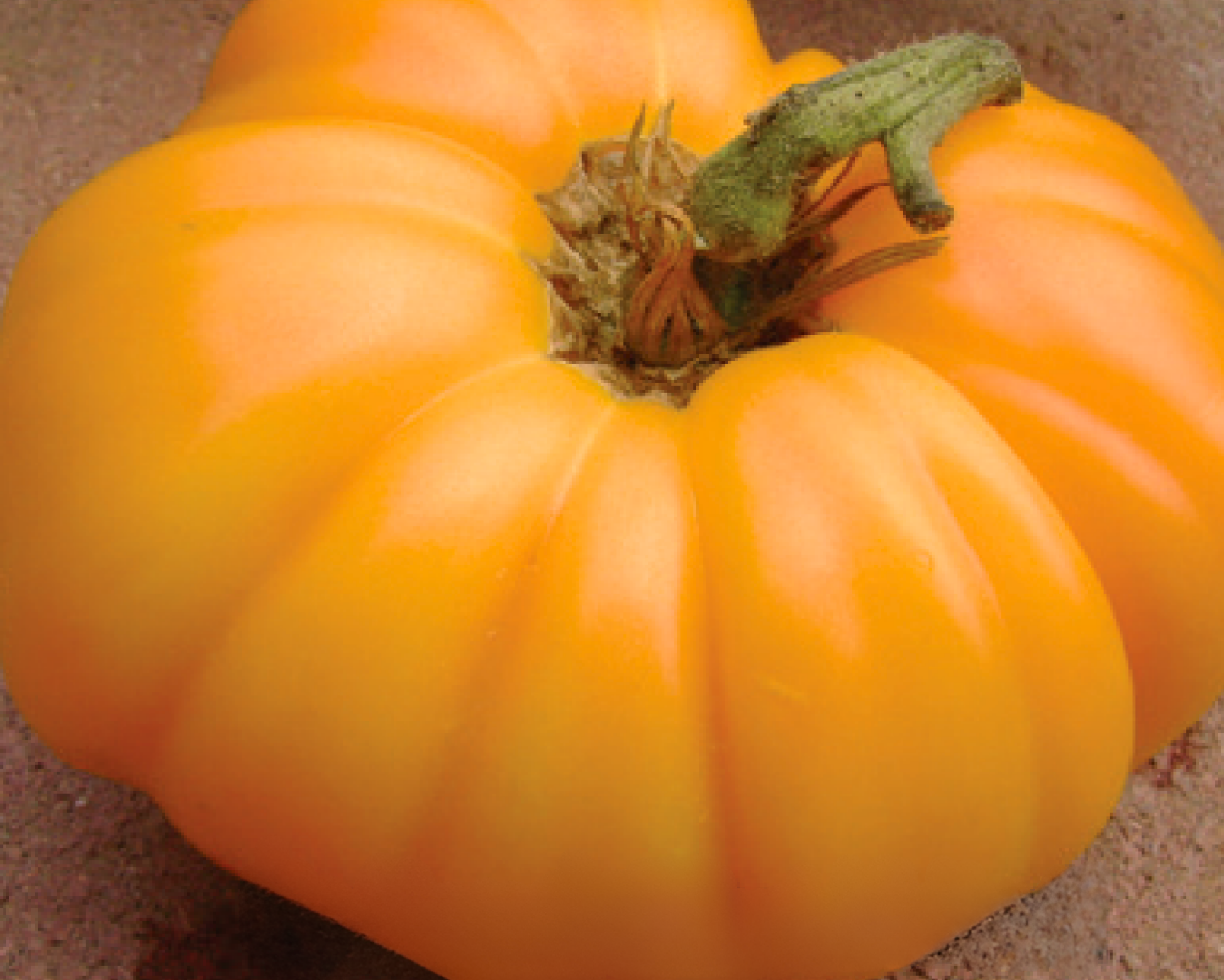 Kellogg's™ Breakfast Tomato Seeds - Blessings Grow Meadows