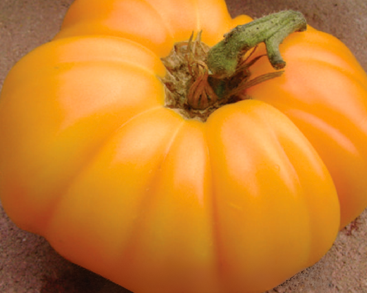 Kellogg's™ Breakfast Tomato Seeds - Blessings Grow Meadows