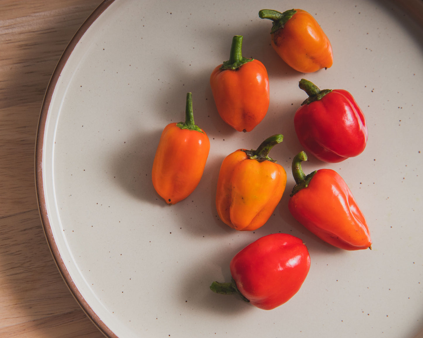 Seven vibrant orange and red Mini Belle Mix peppers, grown from Seeds 'n Such seeds, are arranged on a round cream plate with a brown rim atop a light wooden surface.