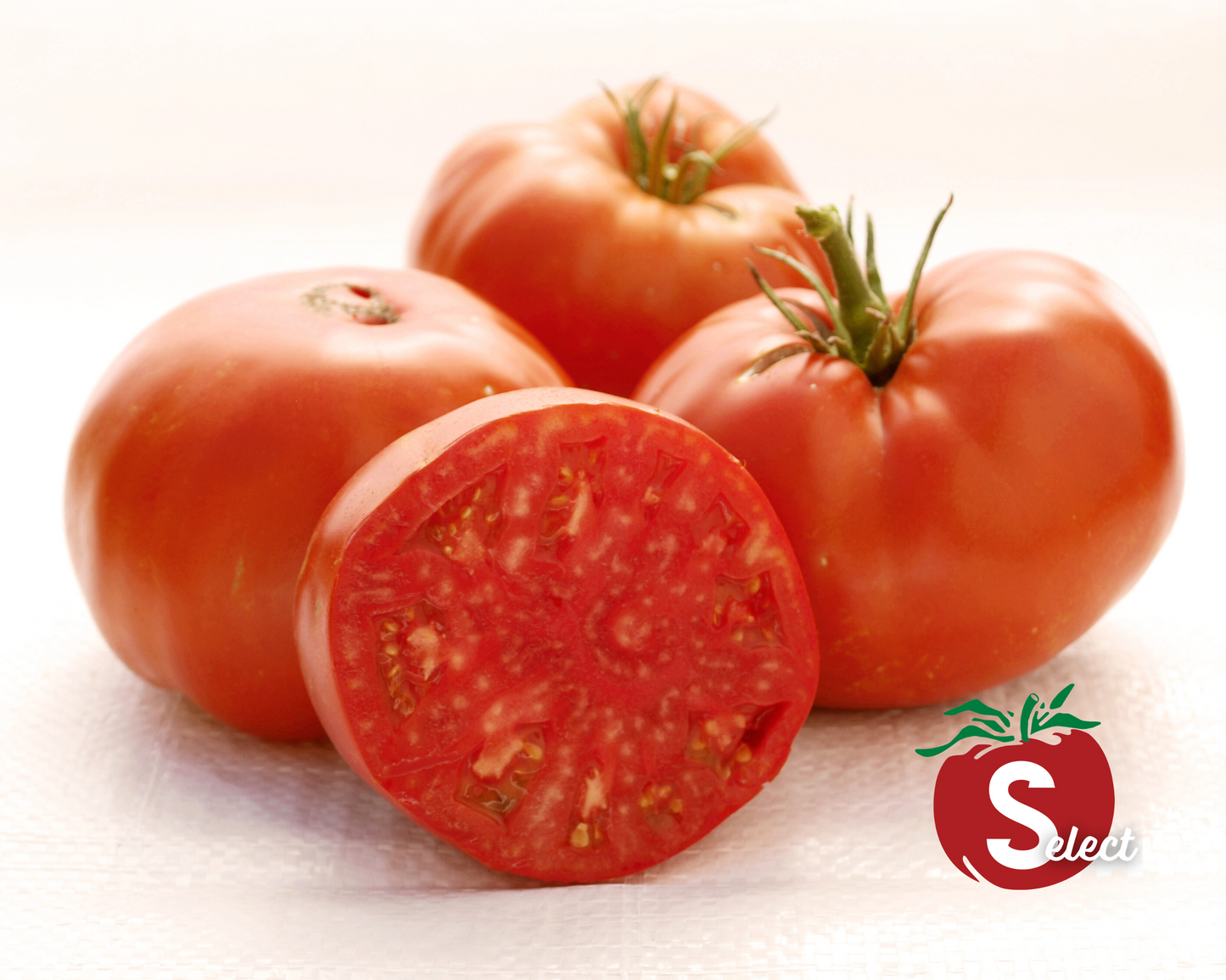 Red Brandywine Tomato Seeds - Blessings Grow Meadows
