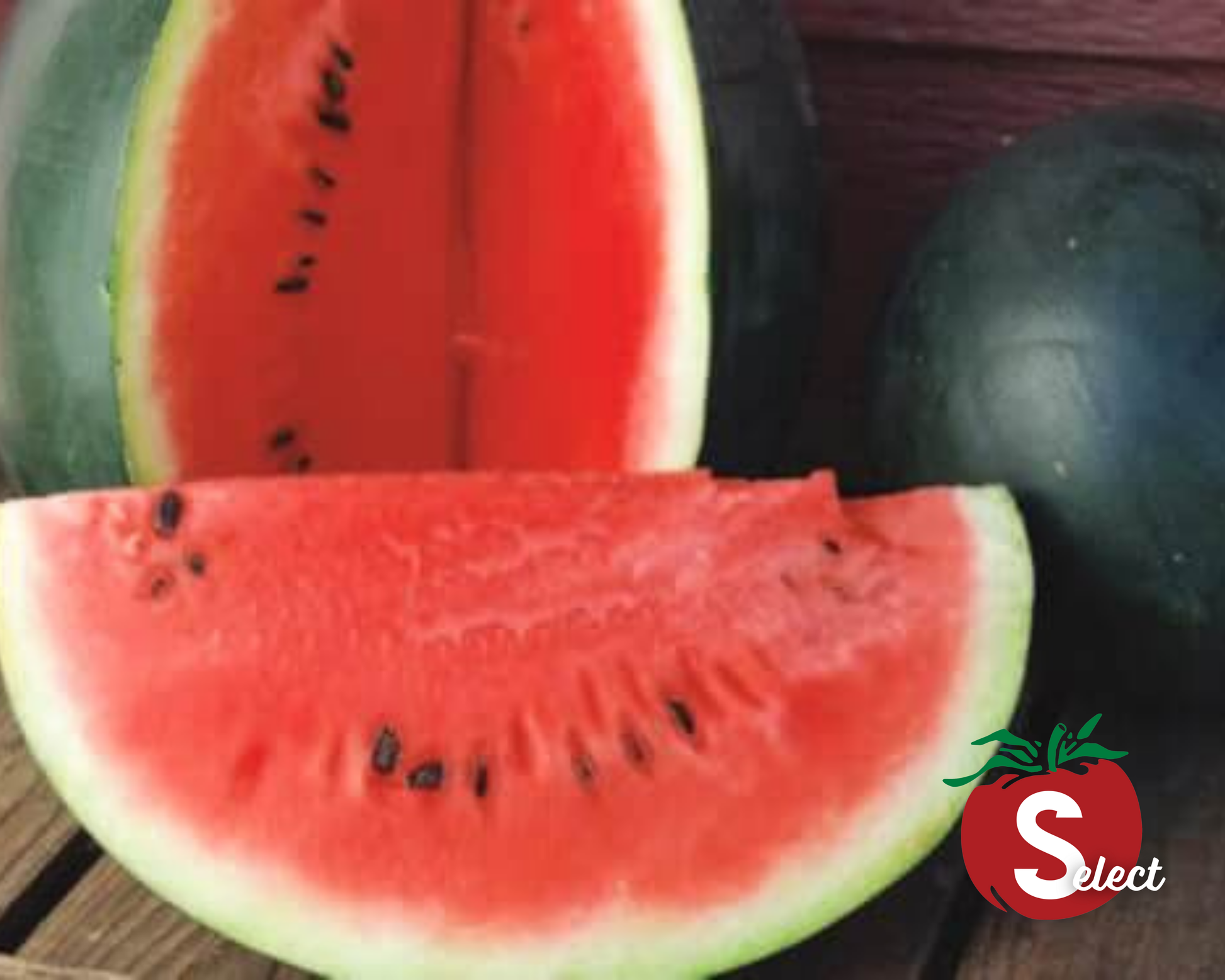 Sugar Baby Watermelon Seeds - Blessings Grow Meadows