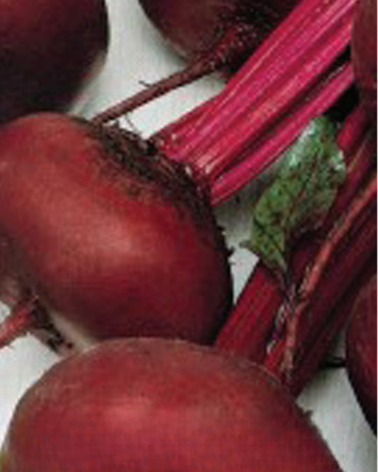 Crosby's Egyptian Beet Seeds - Blessings Grow Meadows