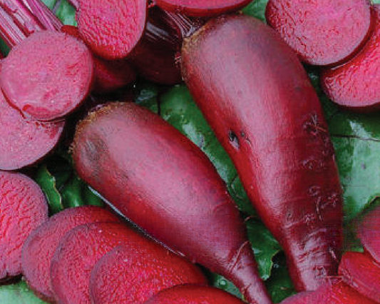 Cylindra Beet Seeds - Blessings Grow Meadows