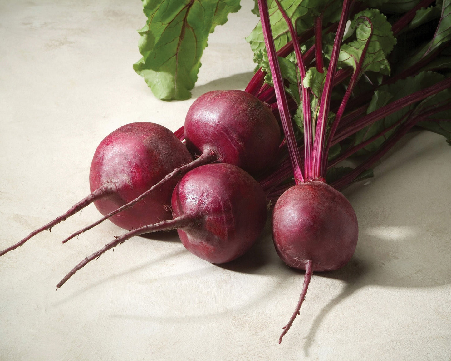 Merlin Hybrid Beet Seeds - Blessings Grow Meadows