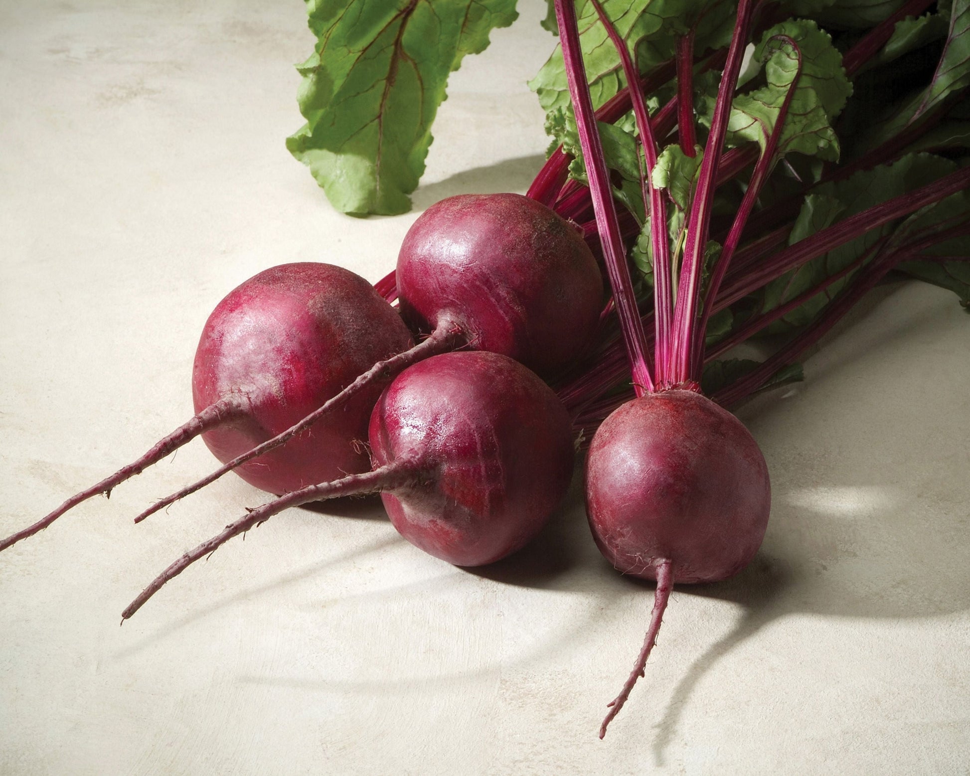 Merlin Hybrid Beet Seeds - Blessings Grow Meadows