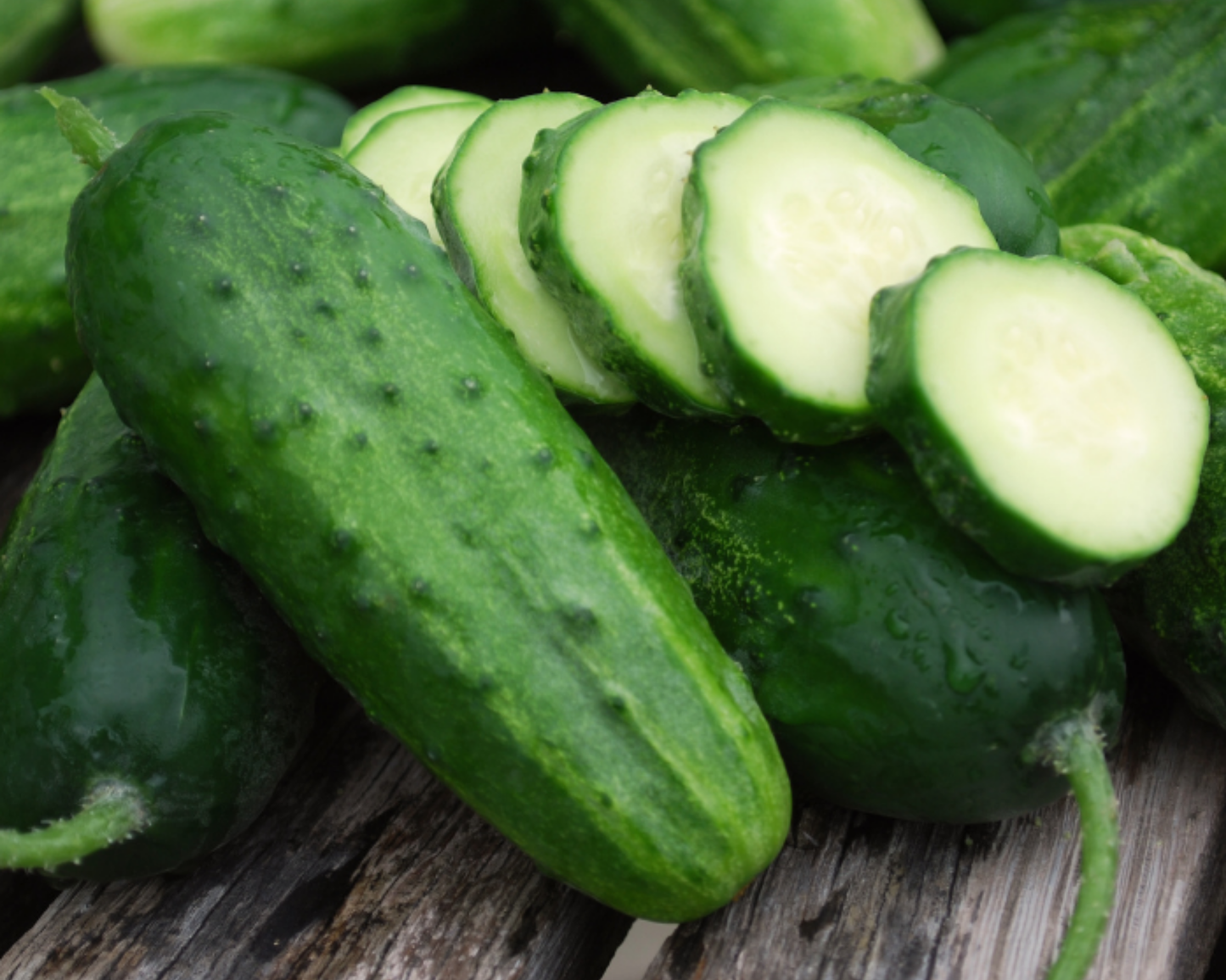 Boston Pickling Cucumber Seeds - Blessings Grow Meadows