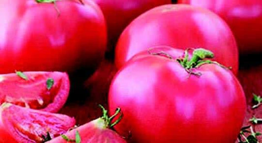 Bradley Tomato Seeds - Blessings Grow Meadows