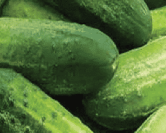 Bush Pickle Hybrid Cucumber Seeds - Blessings Grow Meadows