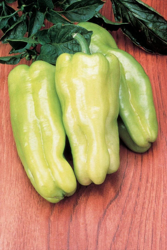 Cubanelle Pepper Seeds - Blessings Grow Meadows