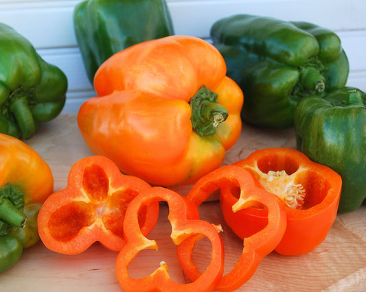 Packet of Seeds 'n Such orange bell sweet bell pepper seeds, showcasing vibrant orange pepper seeds in a labeled packet.