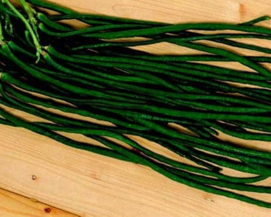 Orient Wonder Bean Seeds - Blessings Grow Meadows