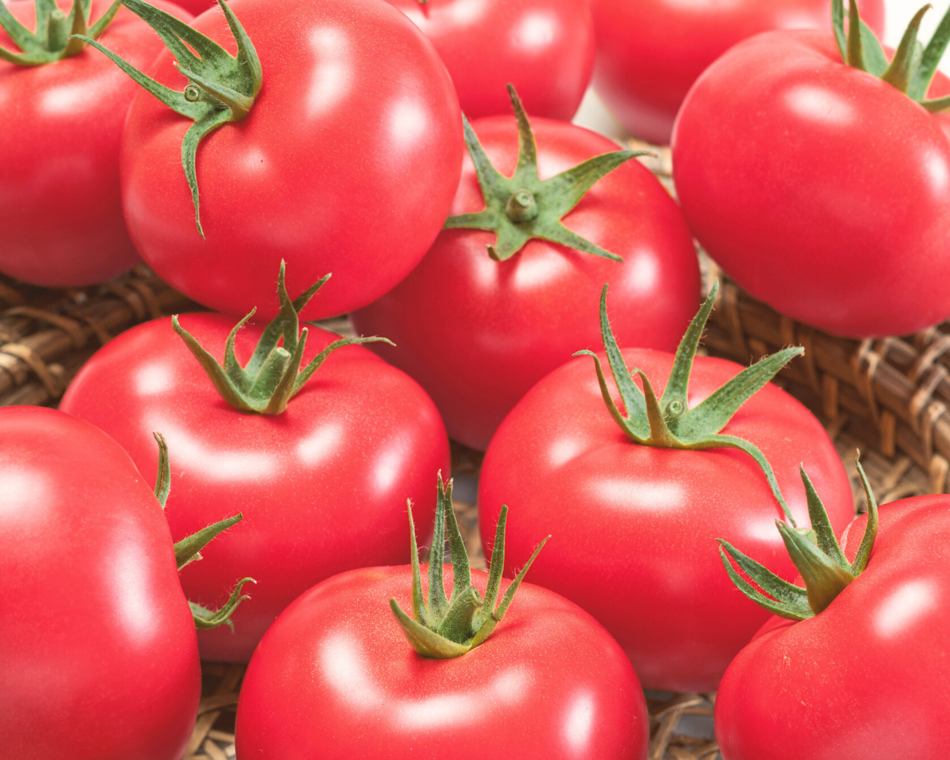 A close-up of several ripe Porter tomatoes from Seeds 'n Such, with green stems, arranged together in a woven basket.