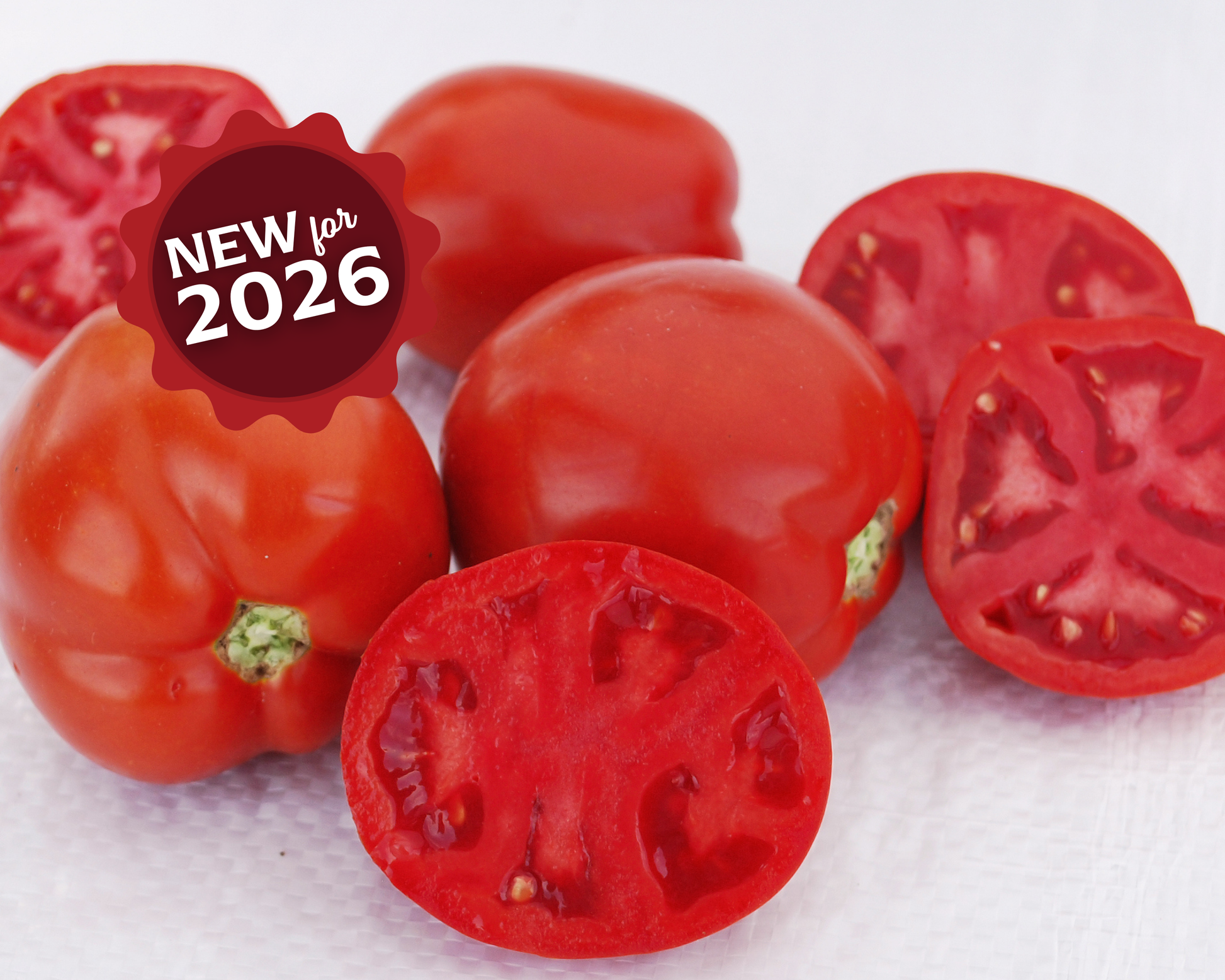 Saucy Lady™ Tomato Seeds - Blessings Grow Meadows