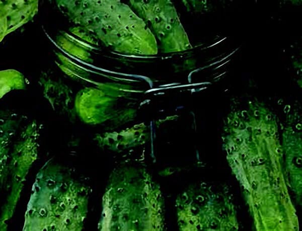 Wisconsin SMR 58 Cucumber Seeds - Blessings Grow Meadows