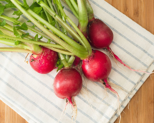 Cherry Belle Radish Seeds - Blessings Grow Meadows