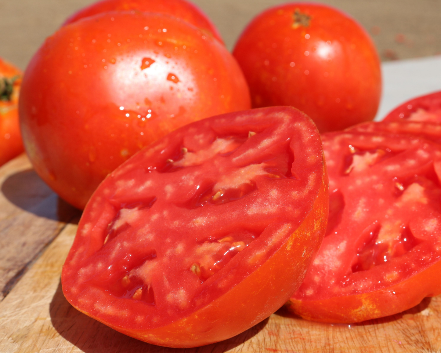 Saybrook Hybrid Tomato Seeds packet from Seeds 'n Such showing 8-10 seeds in a clear packet for planting and gardening.