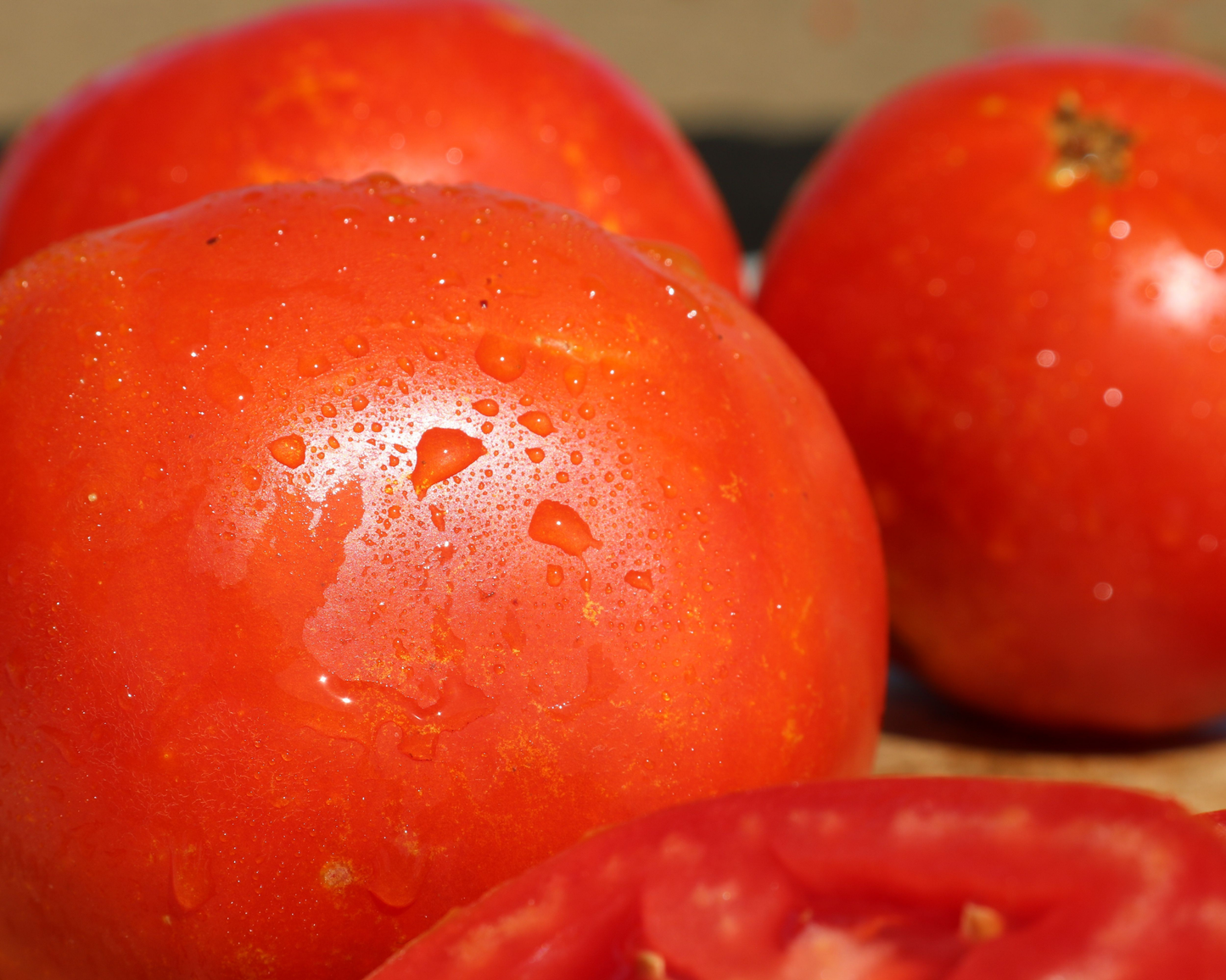 Packet of Saybrook Hybrid Tomato Seeds by Seeds 'n Such showing 8-10 seeds in a colorful packet.