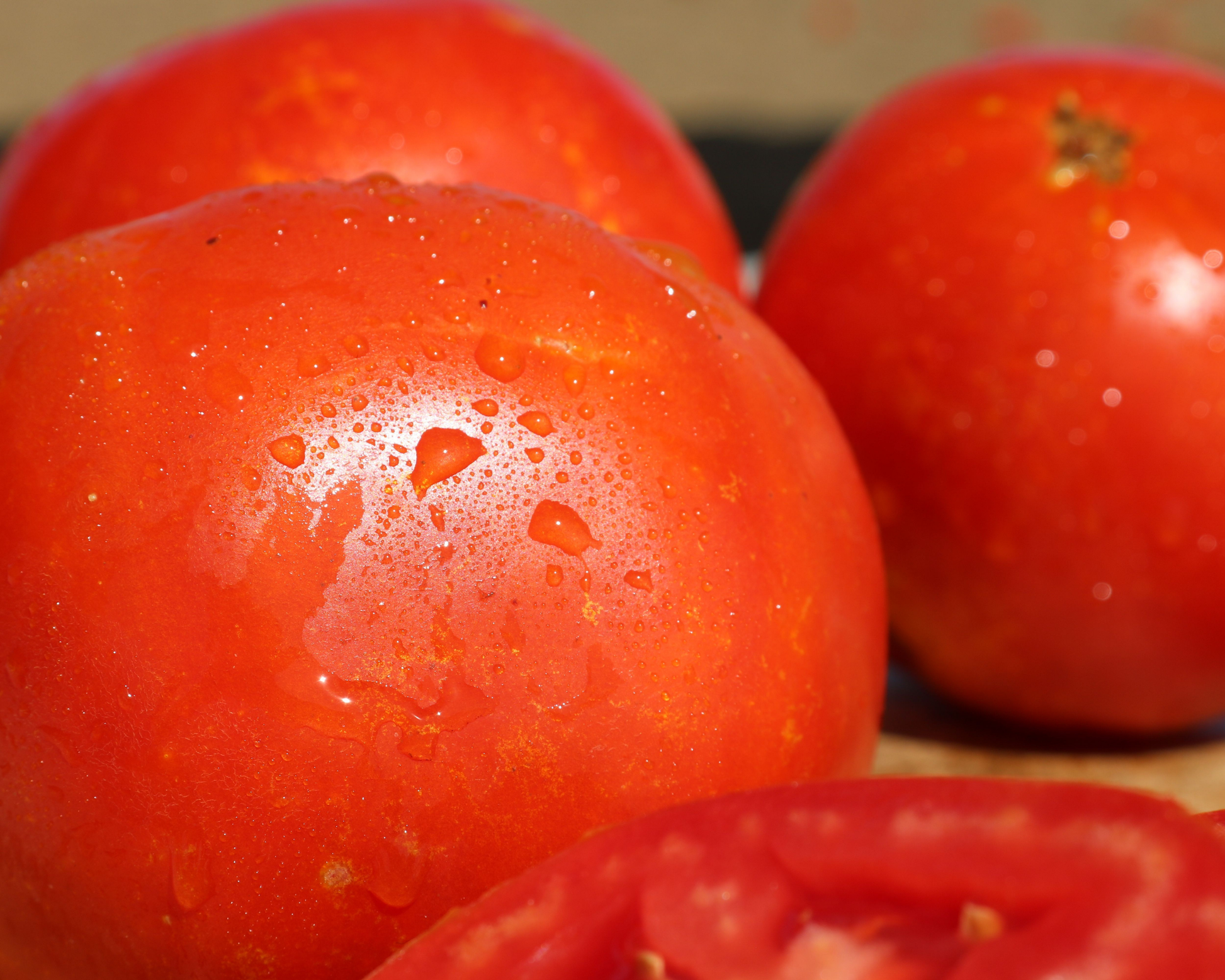 Packet of Saybrook Hybrid Tomato Seeds by Seeds 'n Such showing 8-10 seeds in a colorful packet.