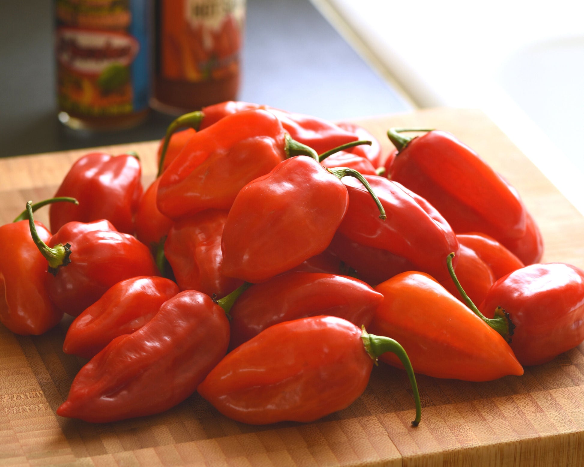 Primero Red Habanero Hybrid Pepper Seeds - Blessings Grow Meadows