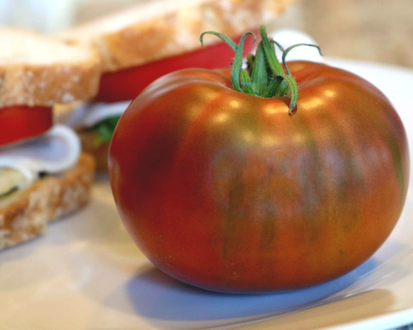 Purple Boy Hybrid Tomato Seeds - Blessings Grow Meadows