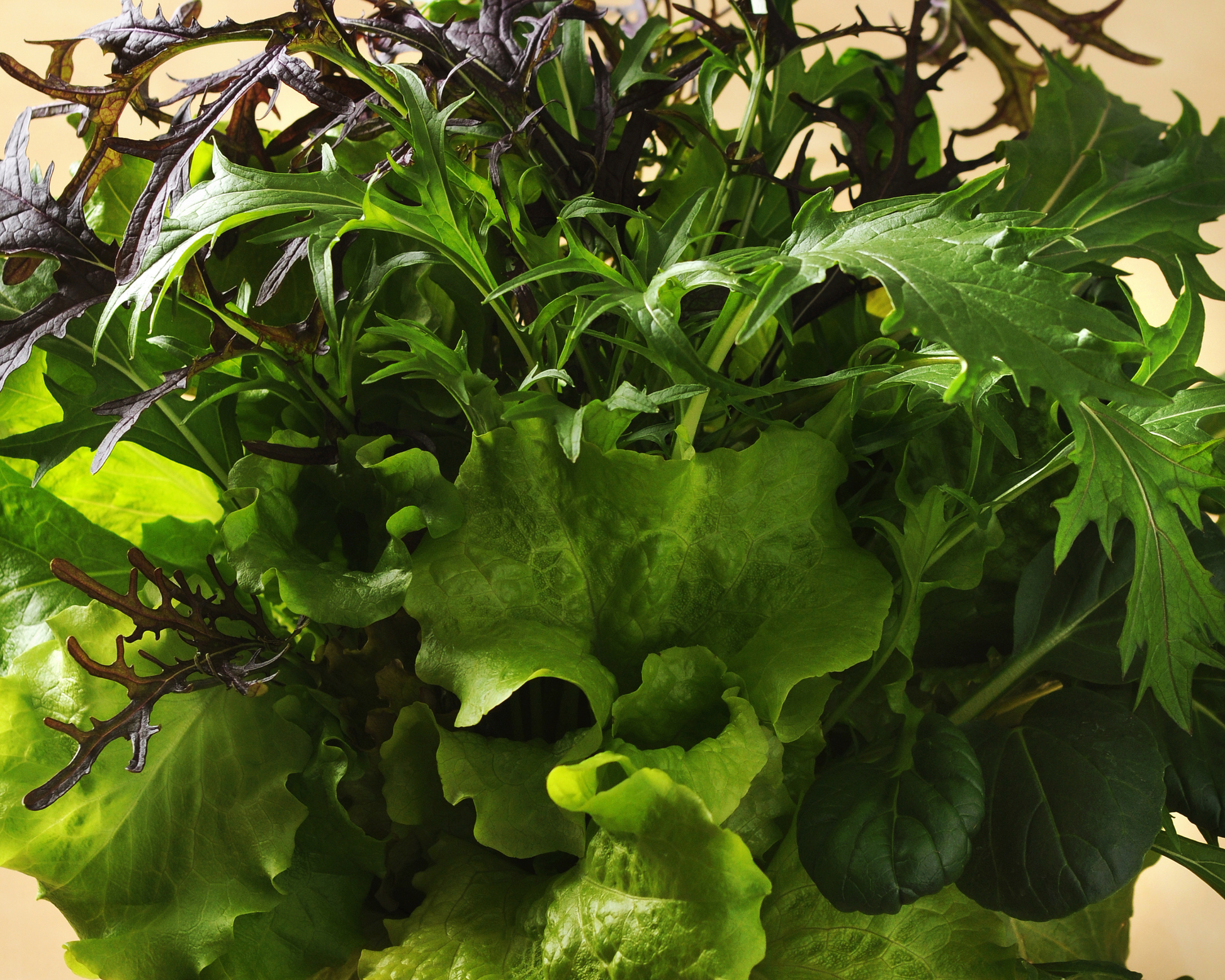 SimplySalad® Global Gourmet Mix Seeds - Blessings Grow Meadows