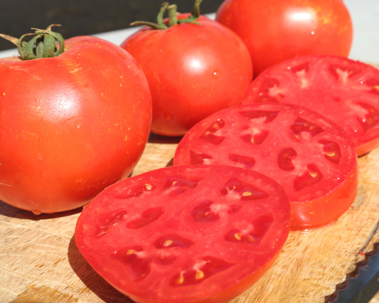 Jamestown Hybrid Tomato Seeds - Blessings Grow Meadows