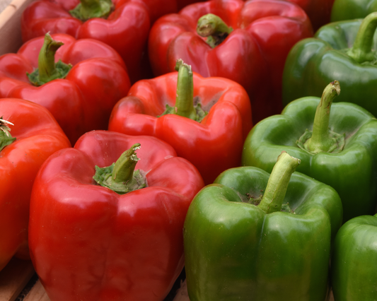 Kickstart Hybrid Pepper Seeds from Seeds 'n Such in a packet with 8 to 10 seeds, ideal for planting and growing peppers.