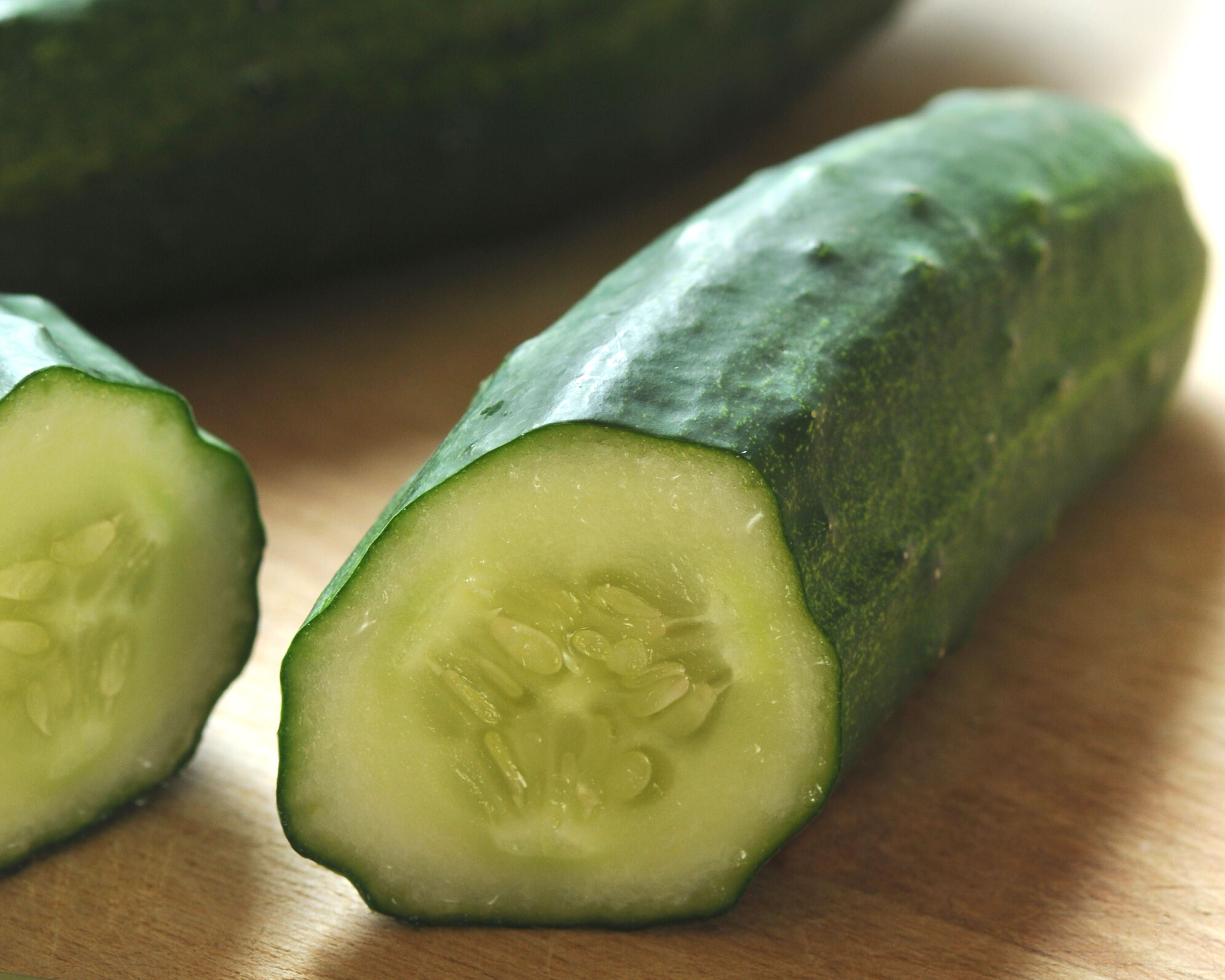 Patio Snacker Hybrid Cucumber | Compact, High-Yield Vegetable