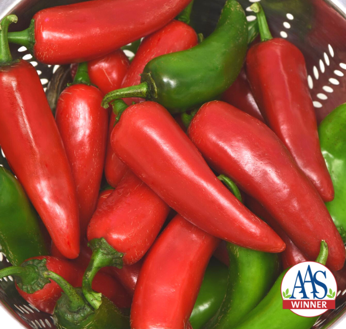 Pot-a-Peño Pepper Seeds - Blessings Grow Meadows