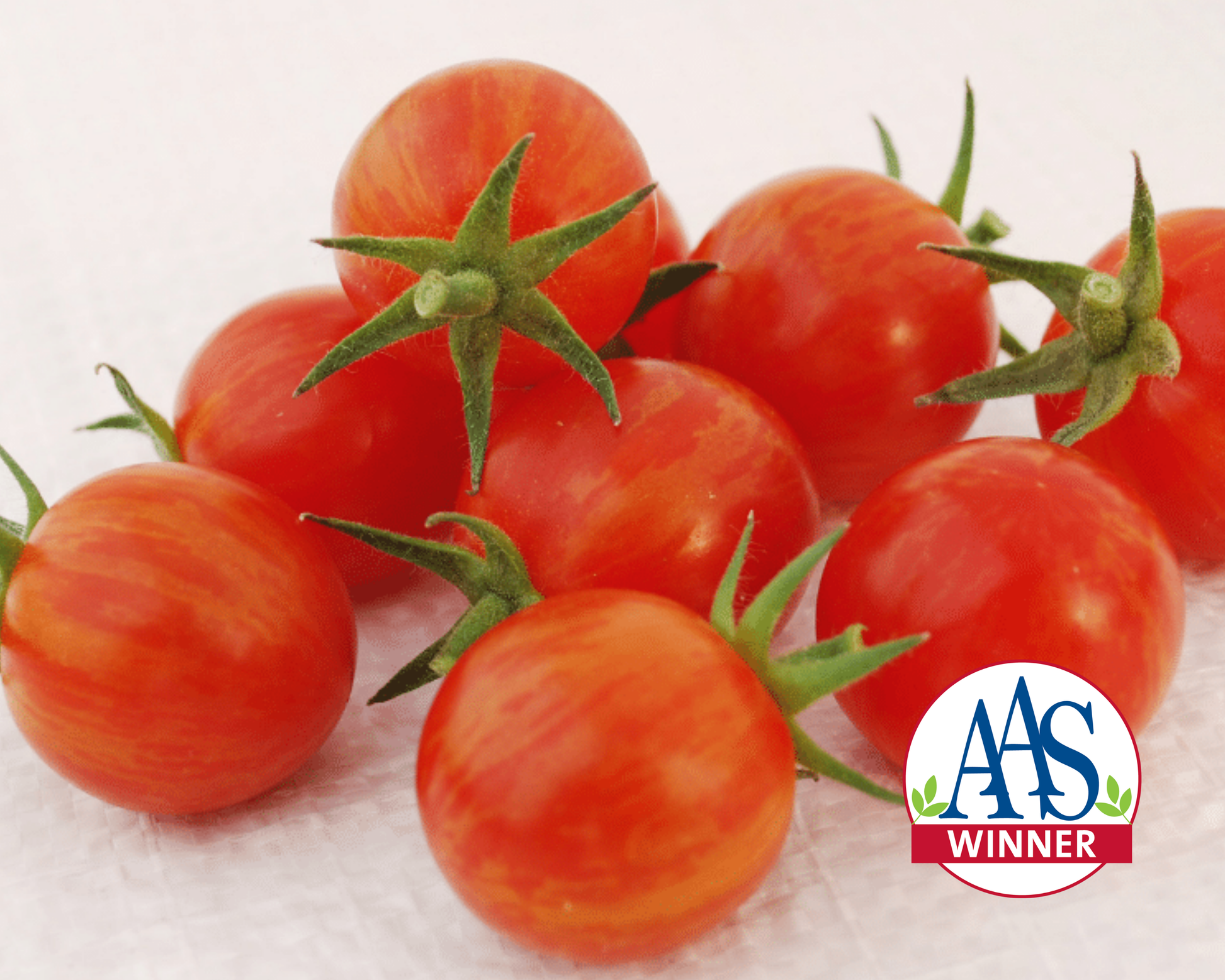 Sparky XSL Hybrid Tomato Seeds - Blessings Grow Meadows