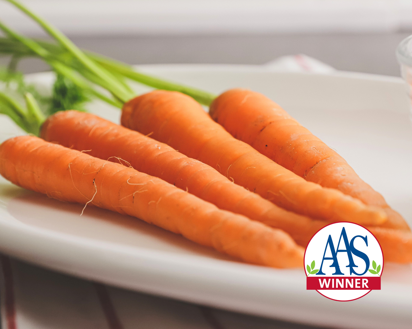 Tendersweet Carrot Seeds - Blessings Grow Meadows