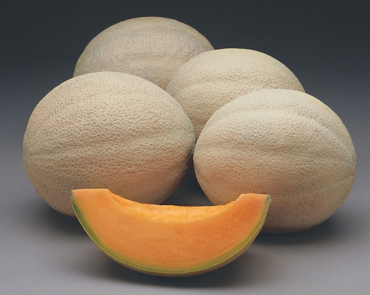 Athena Hybrid Cantaloupe Seeds - Blessings Grow Meadows