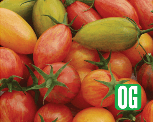 Artisan Mix Prettiest Tomato Seeds - Blessings Grow Meadows