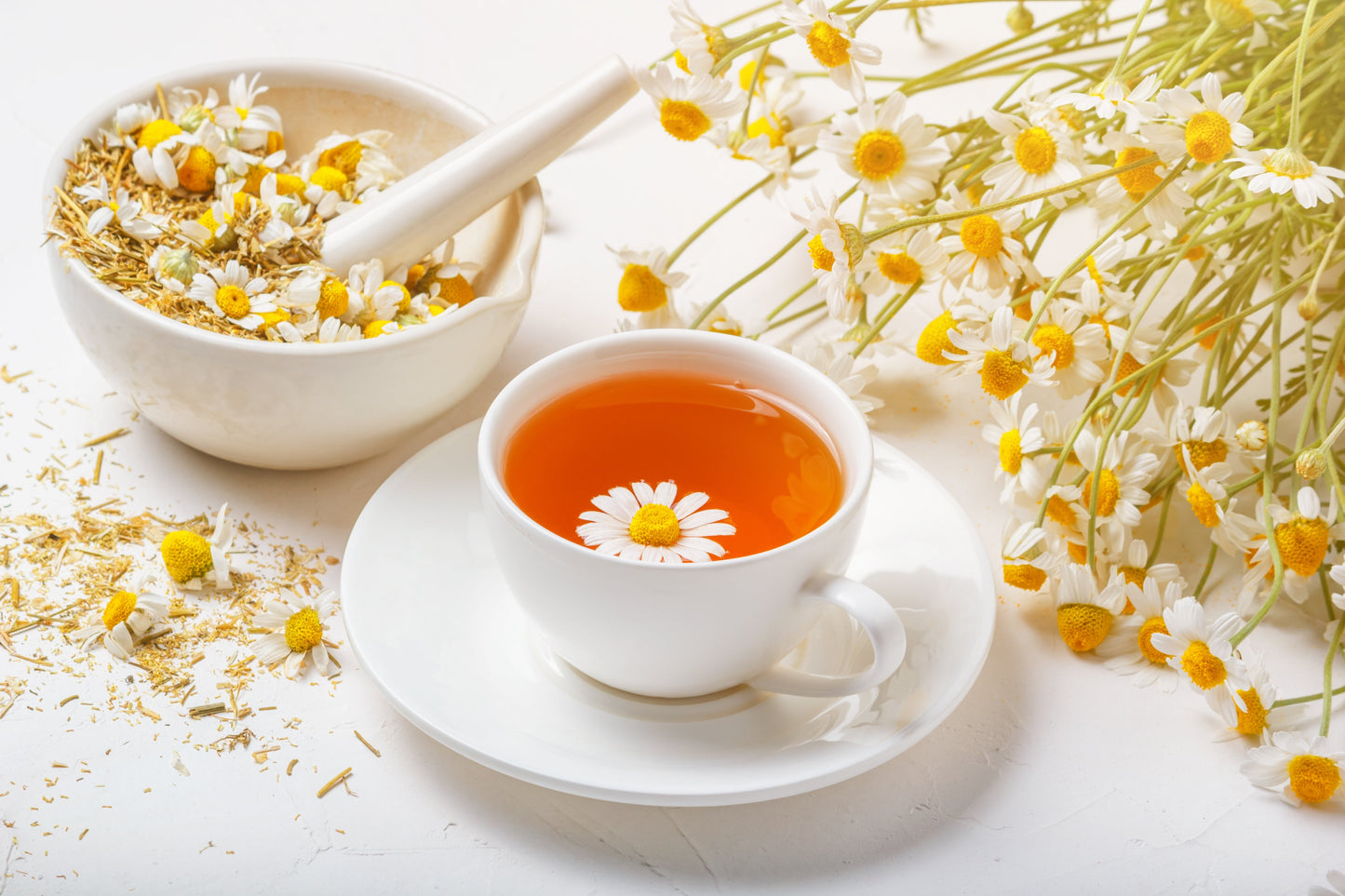 1000 GERMAN CHAMOMILE Matricaria Recutita Chamomilla Herb Flower Seeds - Blessings Grow Meadows -