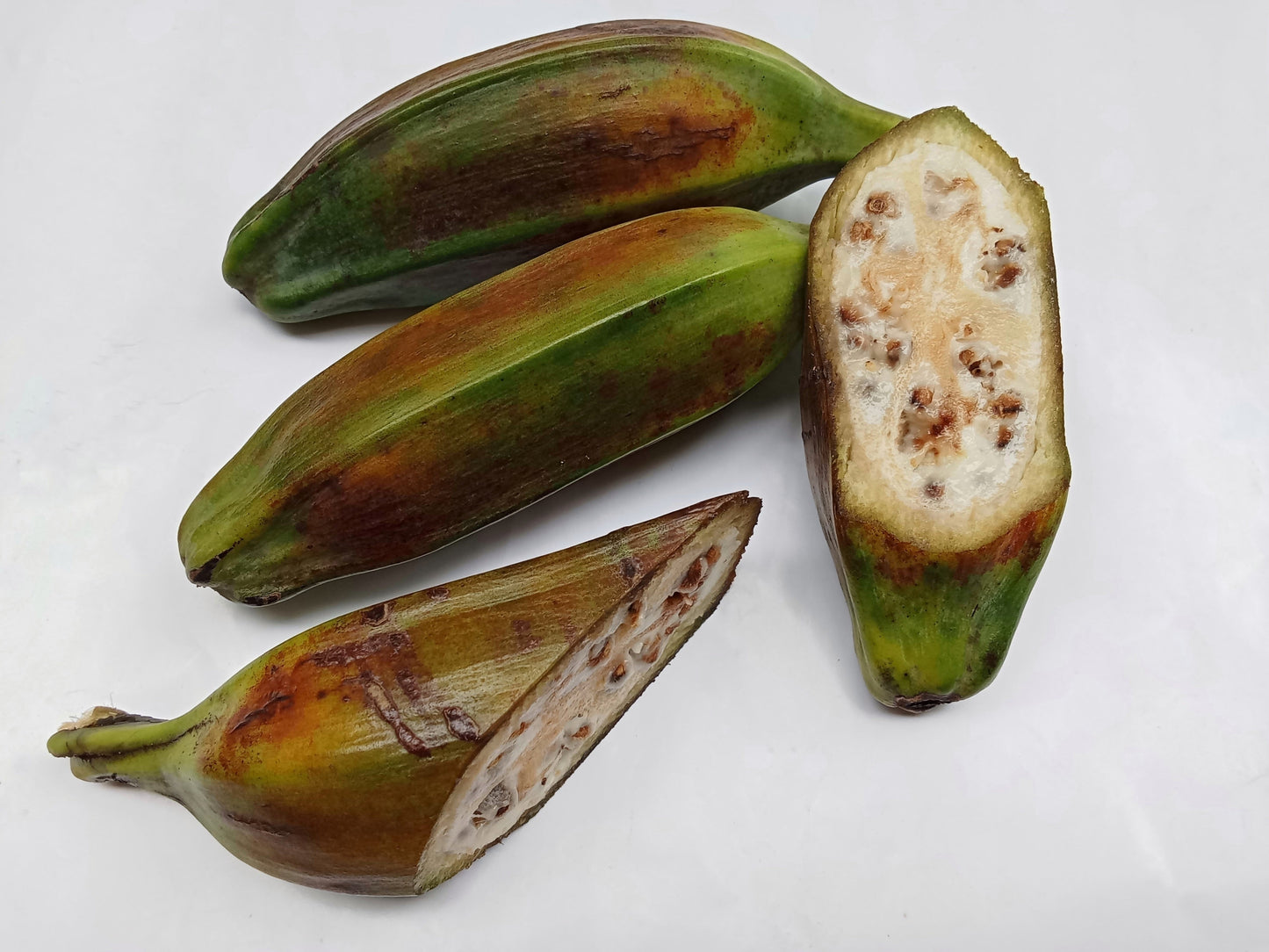 5 PLANTAIN BANANA Musa Balbisiana Hardy Red Flowering Sweet Wild Fruit Tree Seeds - Blessings Grow Meadows -