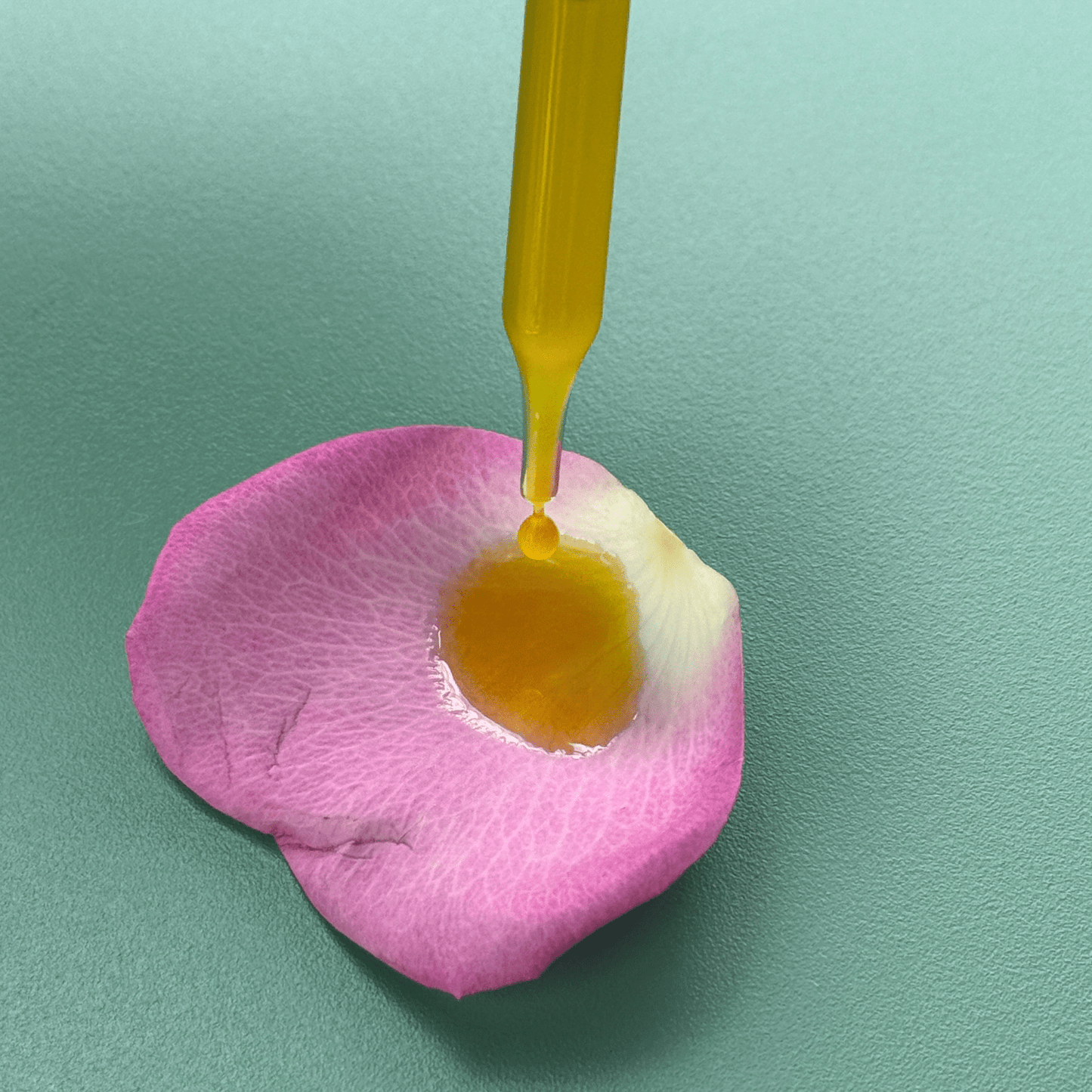 Serenity Calming Facial Serum - Blessings Grow Meadows