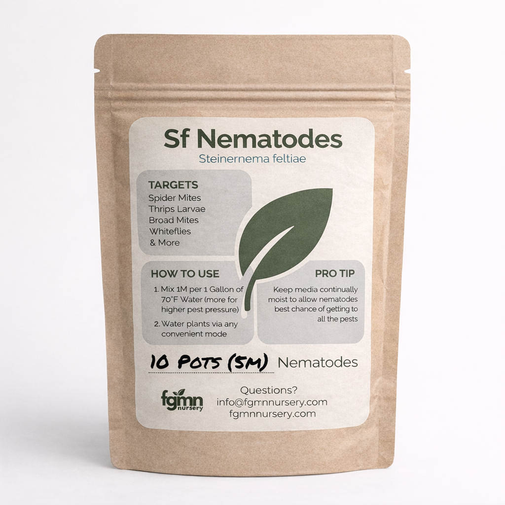 Sf Nematodes - Fungus Gnat Exterminators - FGMN Nursery ~ Blessings Grow Meadows