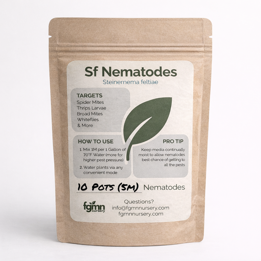Sf Nematodes - Fungus Gnat Exterminators - FGMN Nursery ~ Blessings Grow Meadows