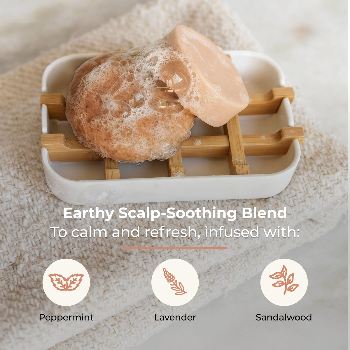 ZeroWasteStore.com shampoo and conditioner bar duo with driftwood scent, shown in eco-friendly packaging for sustainable hair care.