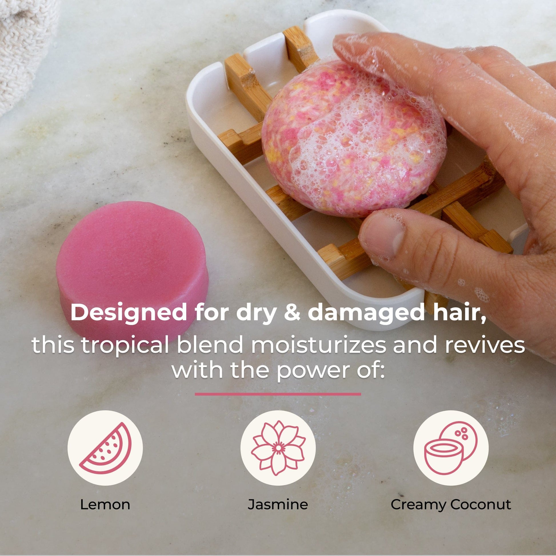 Shampoo & Conditioner Bar Duo - ZeroWasteStore.com ~ Blessings Grow Meadows