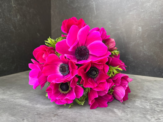 Pack of 10 pink Anemone corms for fall planting from Sunny Meadows Flower Farm, ready for vibrant spring blooms.