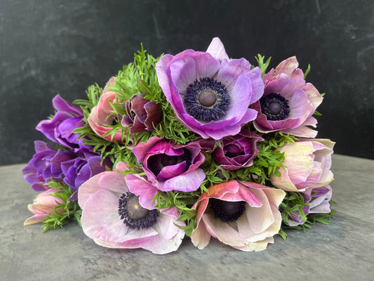 Anemone Corms-Rarity