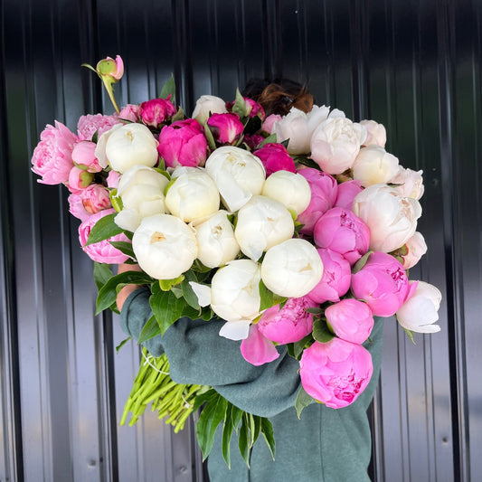 Beautiful peonies from Sunny Meadows Flower Farm displayed at your door, showcasing vibrant pink and white blooms.