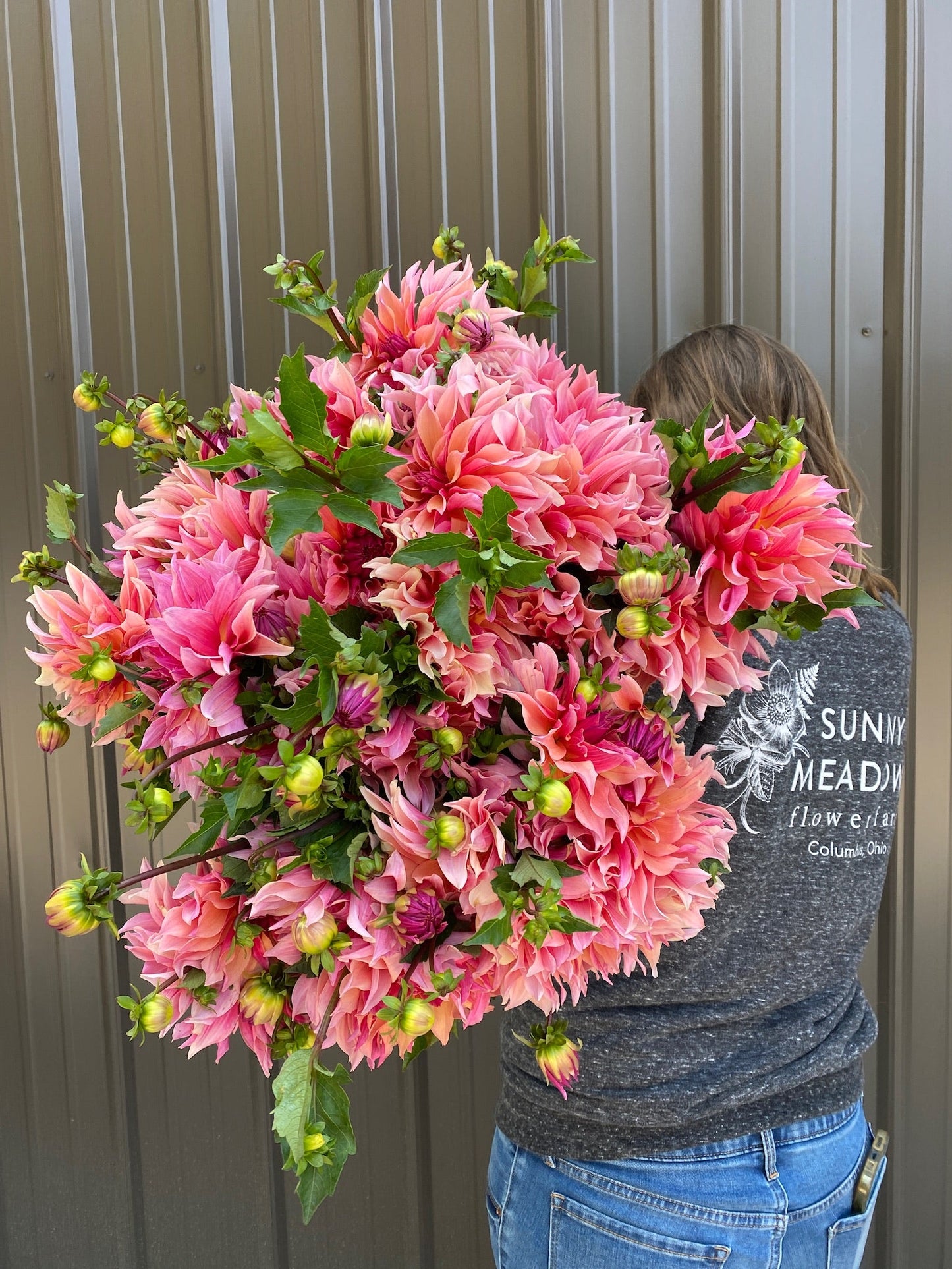 Dahlia Tuber Labyrinth